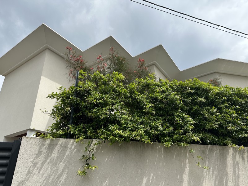 coffrer une corniche spécifique sur mesure  à Béziers dans l'Hérault
